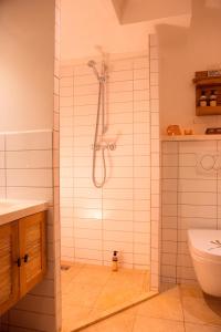 奥斯陆Hotel Oslo Guldsmeden的带淋浴和卫生间的浴室