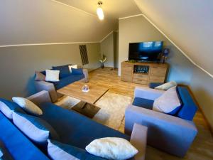 MutneDomek całoroczny "U Haliny''的客厅配有蓝色的沙发和平面电视。