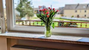 SzczedrzykSłoneczna Przystań - Apartament的窗台上一束红花