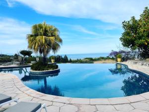 萨里索伦札拉萨里索伦札拉酒店的一座棕榈树和海洋游泳池