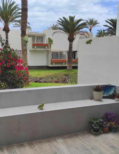 德尔锡伦西奥海岸Ideal holiday apartment in the south of Tenerife的坐在房子前面的长凳上的鸟