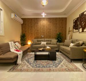 艾卜哈Bohemian style的带沙发和咖啡桌的客厅