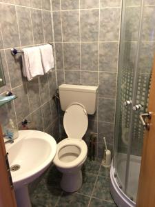 卡兰塞贝什Pensiunea Simina的浴室配有卫生间、盥洗盆和淋浴。