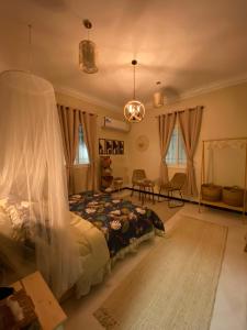 艾卜哈Bohemian style的一间卧室配有一张带蚊帐的床