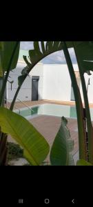 科尔多瓦Cordoba Luxury Home的一座建筑前的绿色植物