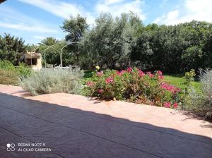 圣彼得罗镇Gli ulivi,casa tra Pula e Villa San Pietro Q3307的人行道上种有粉红色花卉的花园