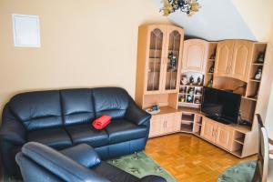 MežicaApartmaji Krebs的客厅配有真皮沙发和电视