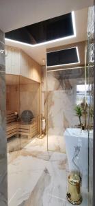 图霍拉Apartament w Tucholi的一间带卫生间和玻璃墙的浴室