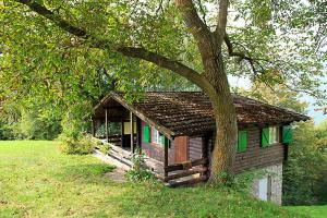 思科纳Aussersalfner Hütte的树旁田野的小房子