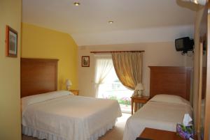 基尔肯尼法纳德旅馆的酒店客房设有两张床和窗户。