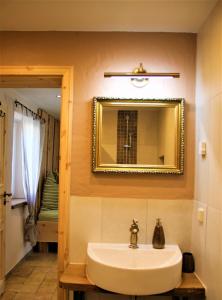 萨勒河畔瑙姆堡Casa No7- piano terra的一间带水槽和镜子的浴室