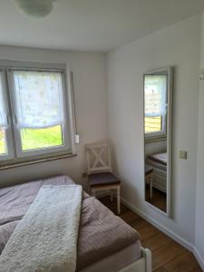 JabelFerienhaus am See的一间卧室设有床、两个窗户和镜子