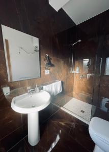 爱尔巴桑Garden Boutique Hotel的一间带水槽和淋浴的浴室