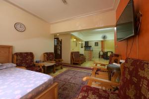开罗Aisling的一间卧室设有一张床和一间客厅。
