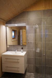 BriksdalsbreMelkevoll Bretun Camping的一间带水槽和淋浴的浴室