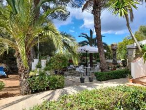 阿尔库迪亚港Hostal Residencia Alma的一个带棕榈树和桌椅的庭院