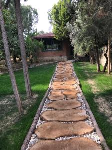 马纳夫加特Paradise Manavgat的树木繁茂的院子中的一个台阶式石头通道