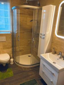 扎马迪Villa007的带淋浴、卫生间和盥洗盆的浴室