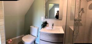 VerlinghemLes chambres du Vert Galant "Coucher de soleil"的一间带水槽、卫生间和镜子的浴室