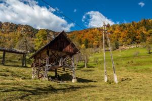 Koprivnik v BohinjuHoliday house Pokljuka - Bohinj的田野中间的小建筑