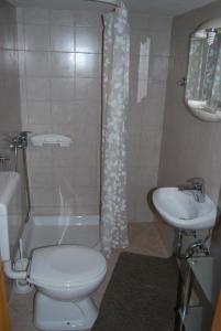 Koprivnik v BohinjuHoliday house Pokljuka - Bohinj的浴室配有卫生间、盥洗盆和淋浴。