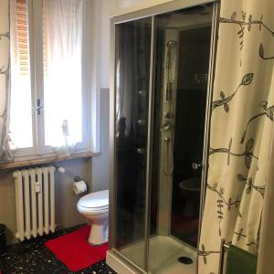 帕尔马纳兹奥尼桥公寓的带淋浴和卫生间的浴室
