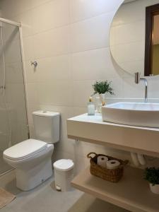 拉古纳Residence Farol - Loft 206的一间带卫生间、水槽和镜子的浴室
