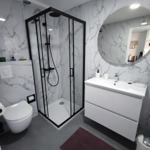 奥斯坦德克塞尼亚别墅公寓的带淋浴、卫生间和盥洗盆的浴室