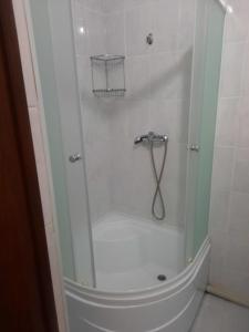 休钦斯克Zhaylau Hotel的浴室里设有玻璃门淋浴
