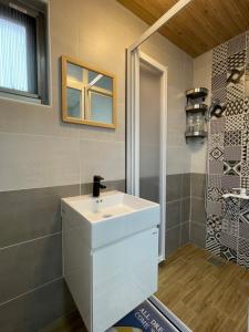 Chaozhou欣园小筑民宿的浴室配有白色水槽和淋浴。