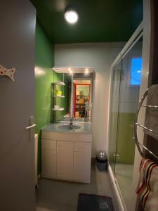 屈埃尔西地区古尔东studio type 1bis的一间带水槽和镜子的浴室