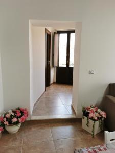 维亚格兰德Loft San Mauro的客厅配有两盆植物和一张沙发