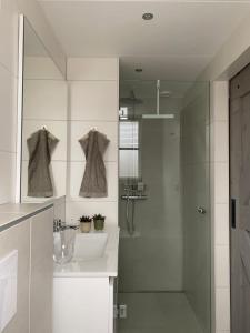兹瓦茨勒伊斯Logeren bij Grea的白色的浴室设有水槽和淋浴。