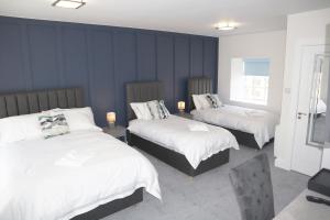 巴利纳The Lodge Ballina的蓝色墙壁客房的两张床