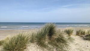 敦刻尔克Rêve Bleu的海滨沙滩上一片草地