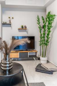 雅典Athena Studio in Gazi的一间带电视和2种盆栽植物的客厅