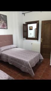 塞特尼尔Casa Rural Moreno的一间卧室配有一张床、镜子和门