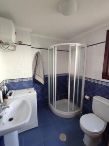 阿里纳加Apartamentos Risco Verde的带淋浴、卫生间和盥洗盆的浴室