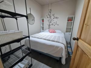 圣何塞Fully-equipped 2-bedroom apartment in San José的一间卧室配有一张床和一张双层床。