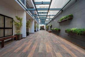圣保罗Apartamento para renovar as energias - Cama Queen的建筑里空荡荡的走廊,有盆栽植物