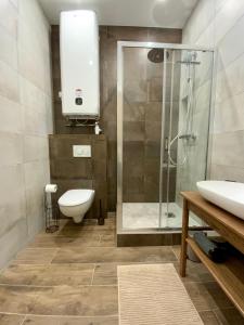 尚贝里LA COSY FACTORY - Centre historique的带淋浴、卫生间和盥洗盆的浴室