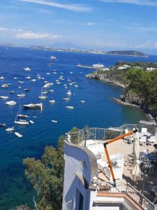 伊斯基亚L'Incanto Suites Ischia的享有海港和水中船只的景色