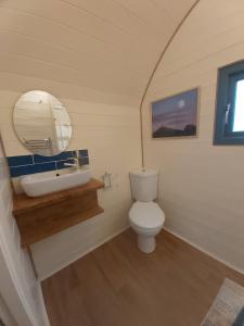 格拉斯顿伯里Orchard Farm Luxury Glamping的浴室配有白色卫生间和盥洗盆。