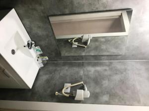 格乔奈古里酒店的浴室设有2个水槽和镜子
