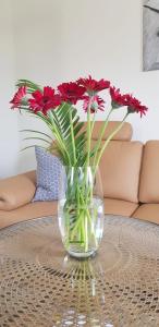 德累斯顿An den Elbwiesen的花瓶,上面放着红色的花