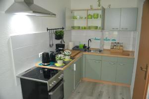马格德堡Apartment Editha Wohnung im EG Zentrumsnah的厨房配有绿色橱柜和炉灶。 顶部烤箱