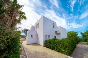克拉法吉亚Cretan Life Holidays的棕榈树白色房子