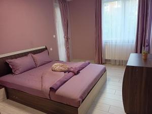 鲁塞Стоянови的一间卧室配有一张带紫色床单的床和窗户。
