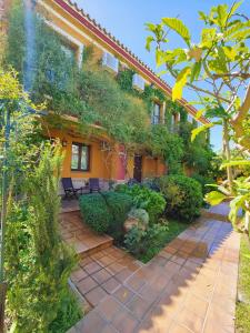 马塔拉斯卡尼亚斯多尼亚那布鲁斯酒店的前面有花园的房子