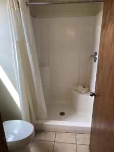 奥加拉拉South Platte Cabins & Kennels的带浴缸、卫生间和淋浴的浴室。